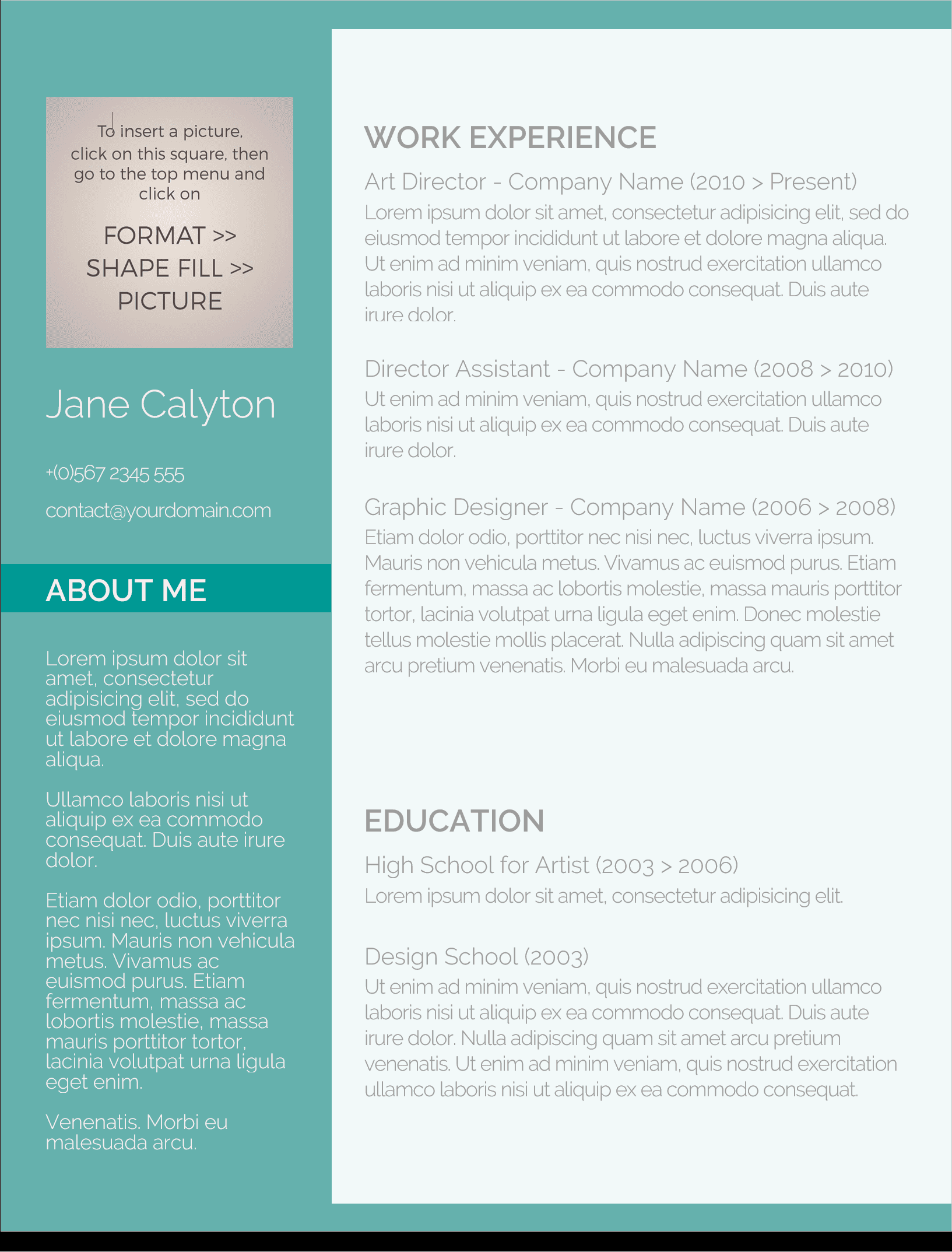 Resume 5 Preview
