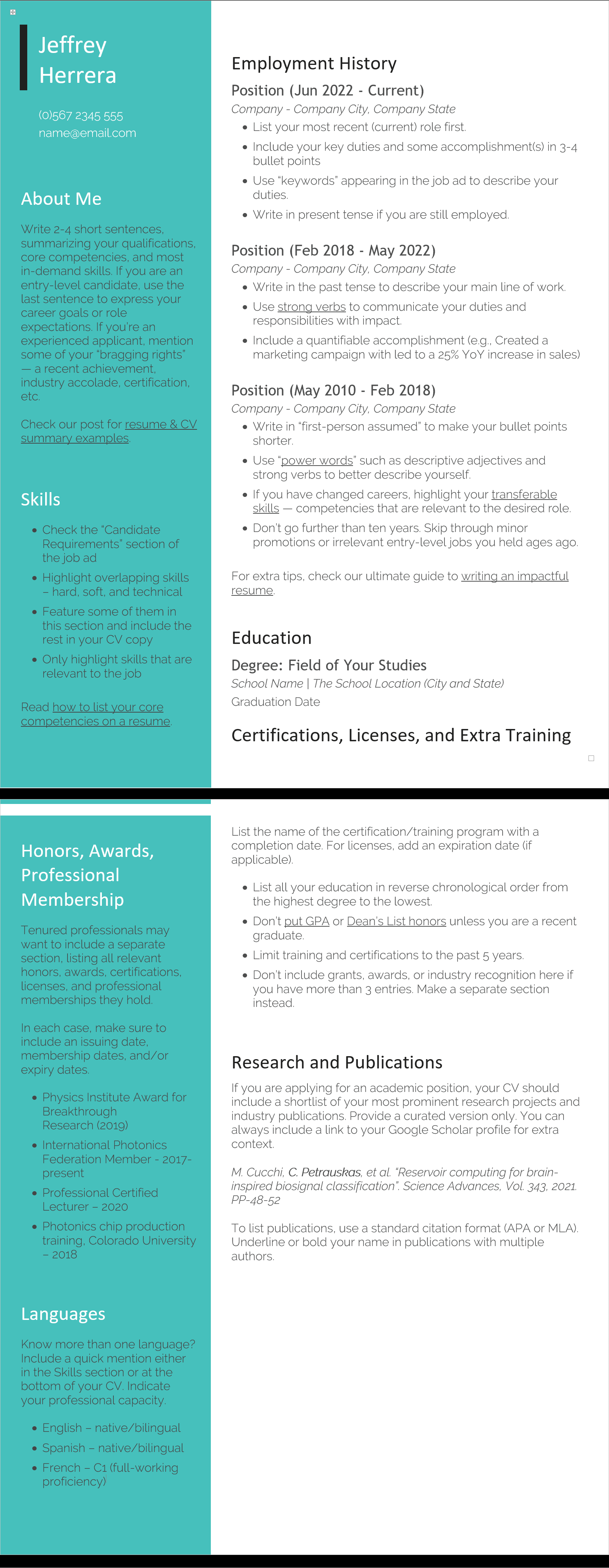 Resume 6 Preview