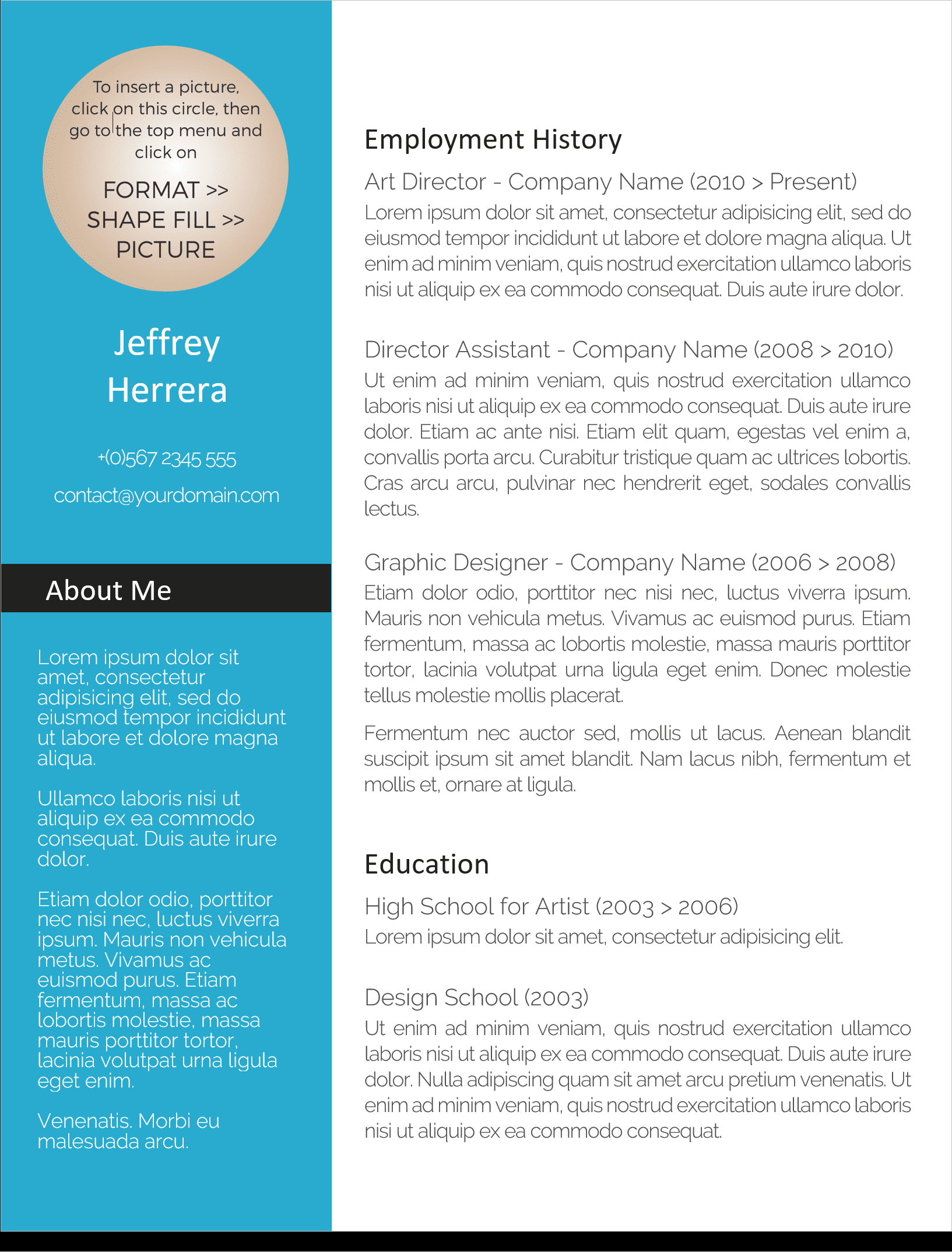 Resume 8 Preview